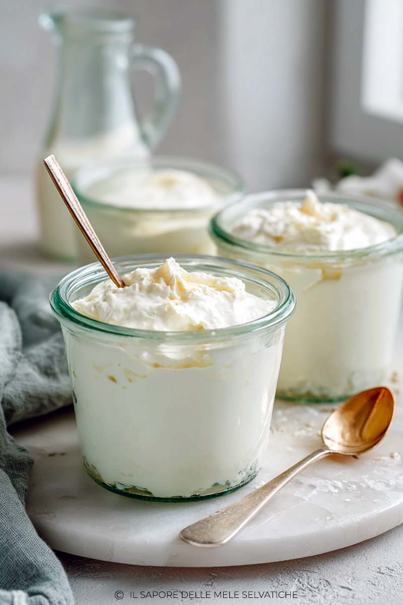 yogurt fatto in casa