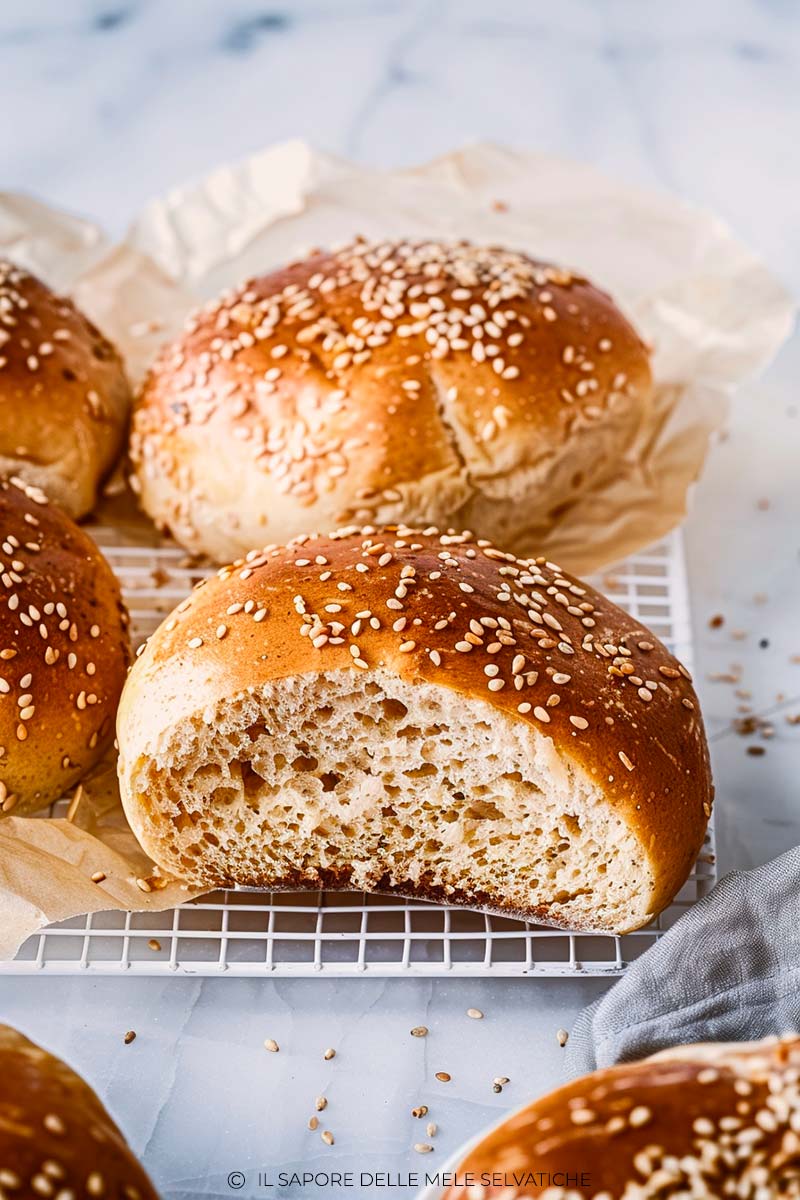 Burger-Buns-Semi-Integrali