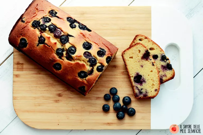 plumcake ai mirtilli