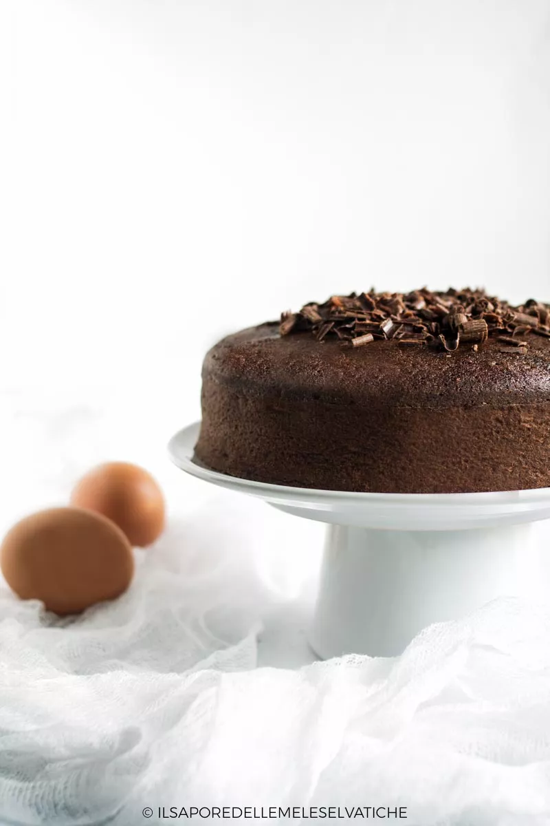 torta di soli albumi al cacao